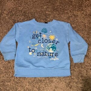 Patagonia Light Blue Nature Graphic Sweatshirt